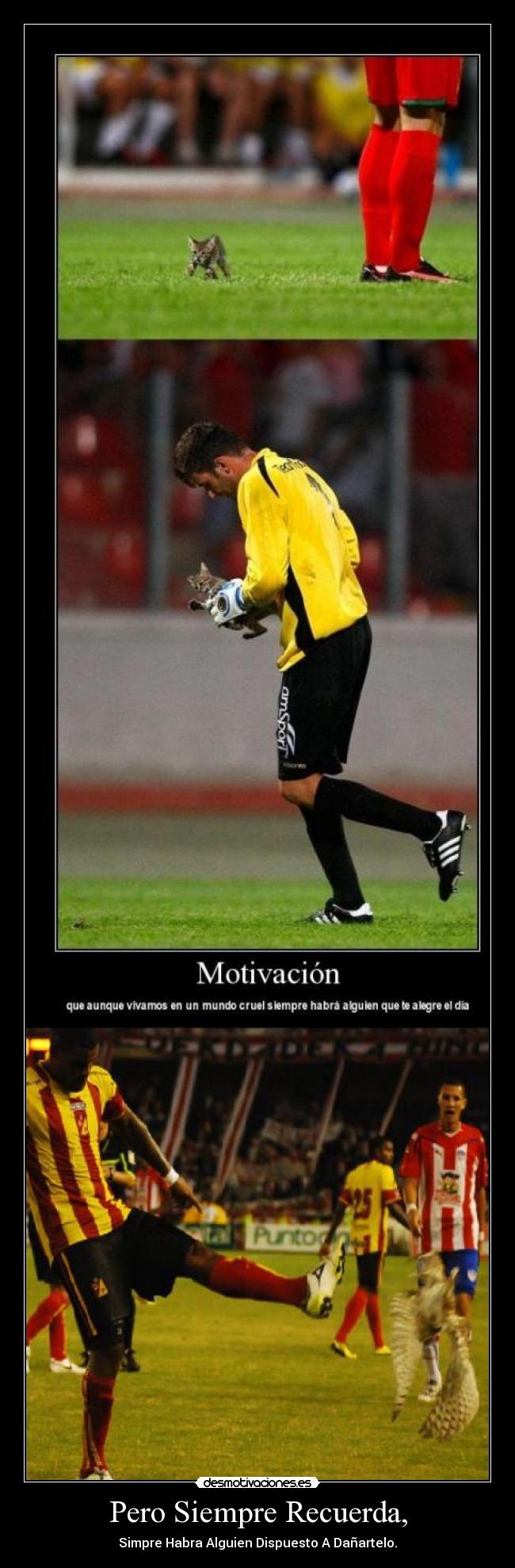 Pero Siempre Recuerda, - 