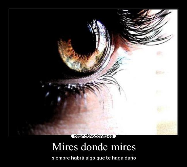 Mires donde mires -