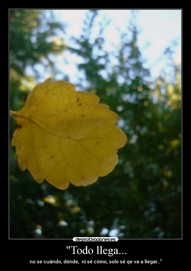 Todo llega... - no se cuándo, dónde, ni sé cómo, solo sé qe va a llegar..