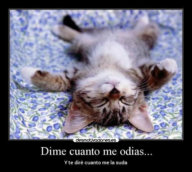 Dime cuanto me odias... -