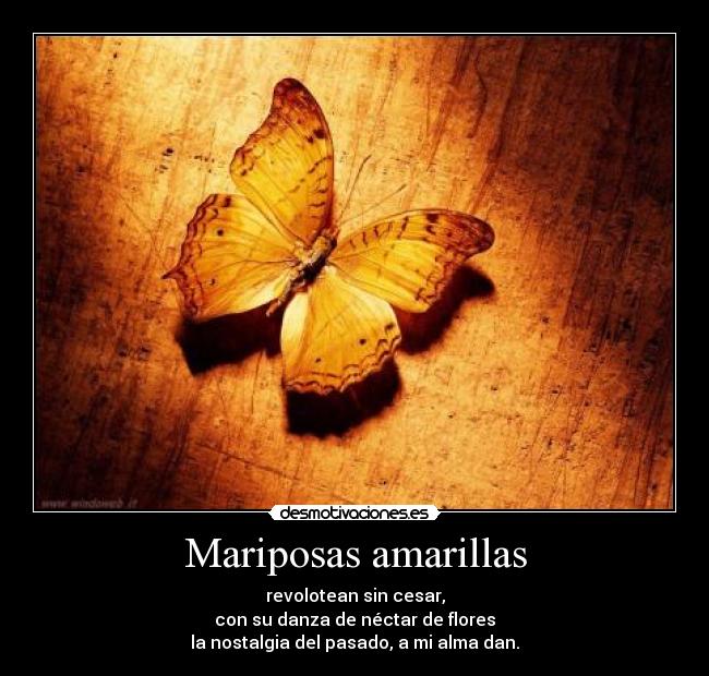 Mariposas amarillas - revolotean sin cesar,
con su danza de néctar de flores
la nostalgia del pasado, a mi alma dan.