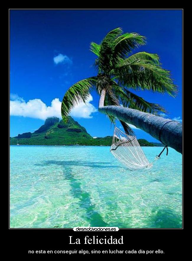 La felicidad - no esta en conseguir algo, sino en luchar cada día por ello.