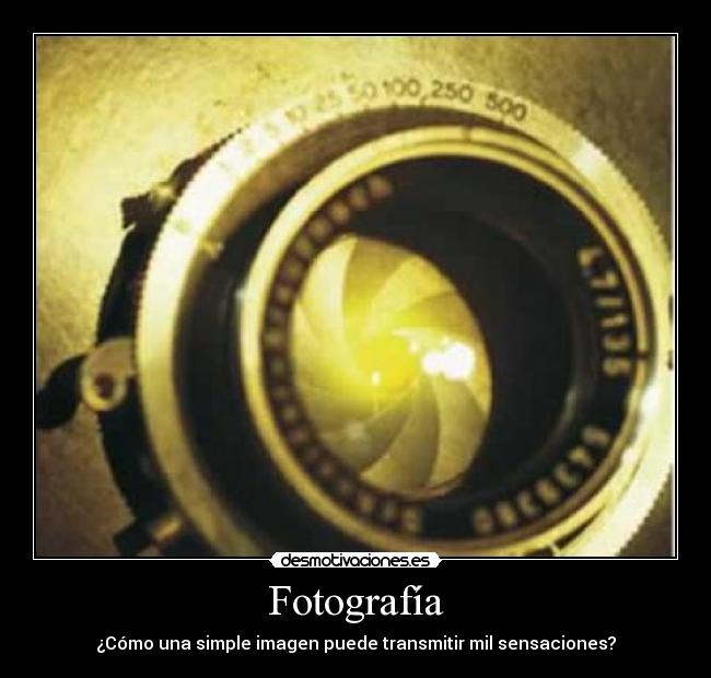 Fotografía - ¿Cómo una simple imagen puede transmitir mil sensaciones?