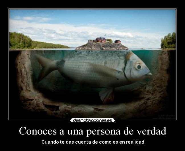 Conoces a una persona de verdad -