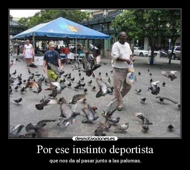 carteles whololooooo desmotivaciones