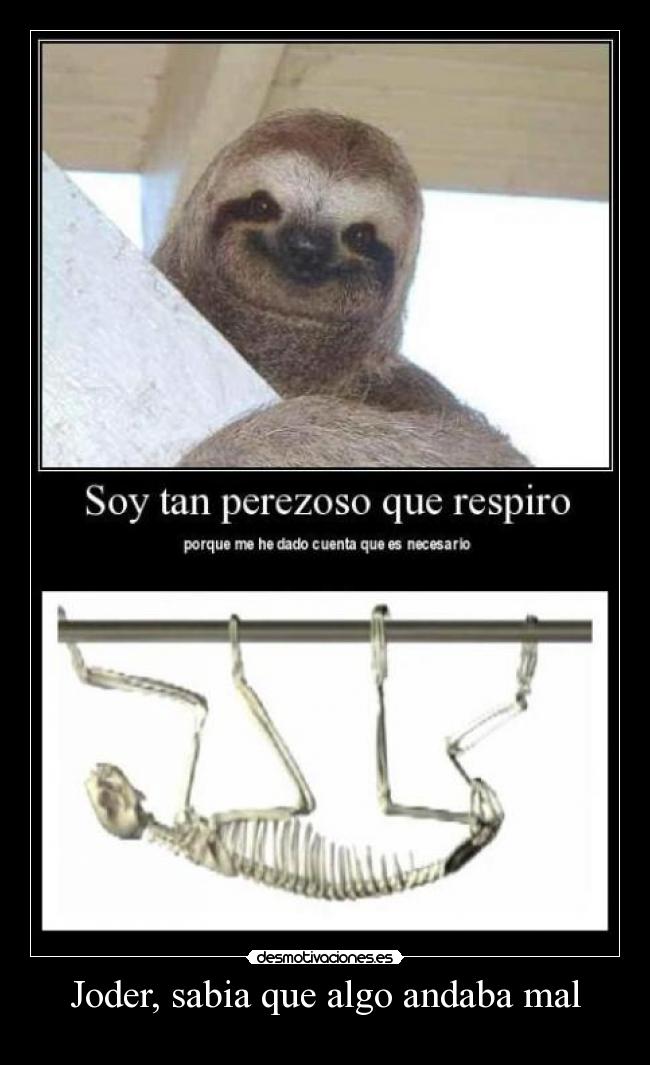 Joder, sabia que algo andaba mal -