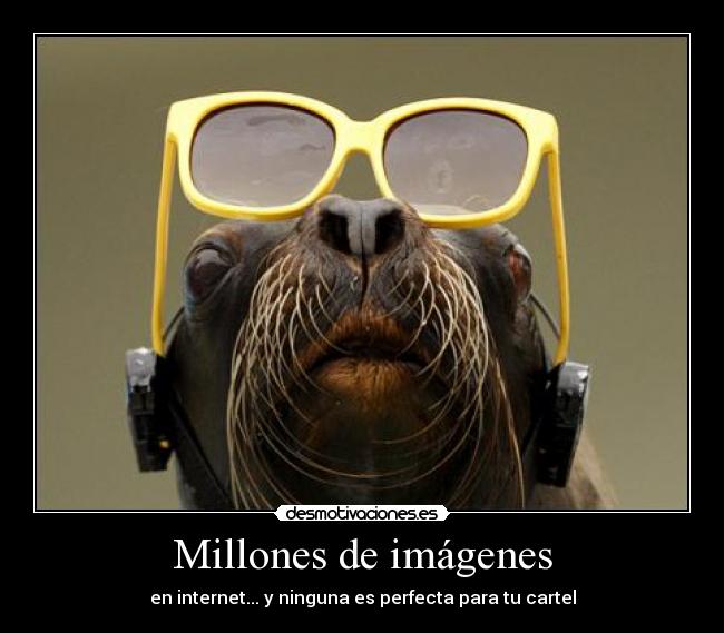 Millones de imágenes -