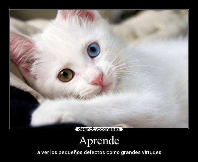 Aprende - 