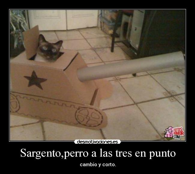 Sargento,perro a las tres en punto - cambio y corto.
