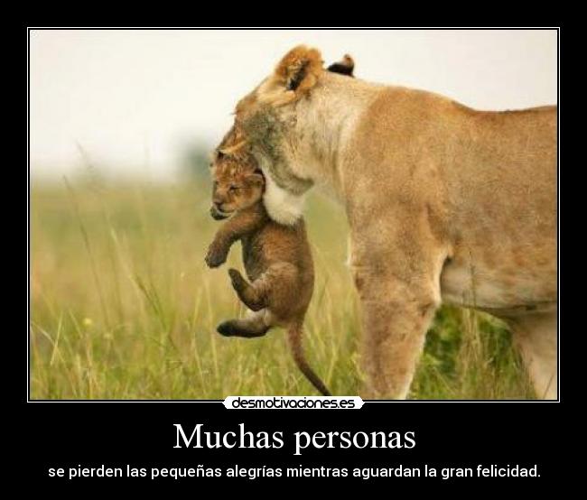 Muchas personas - se pierden las pequeñas alegrías mientras aguardan la gran felicidad.