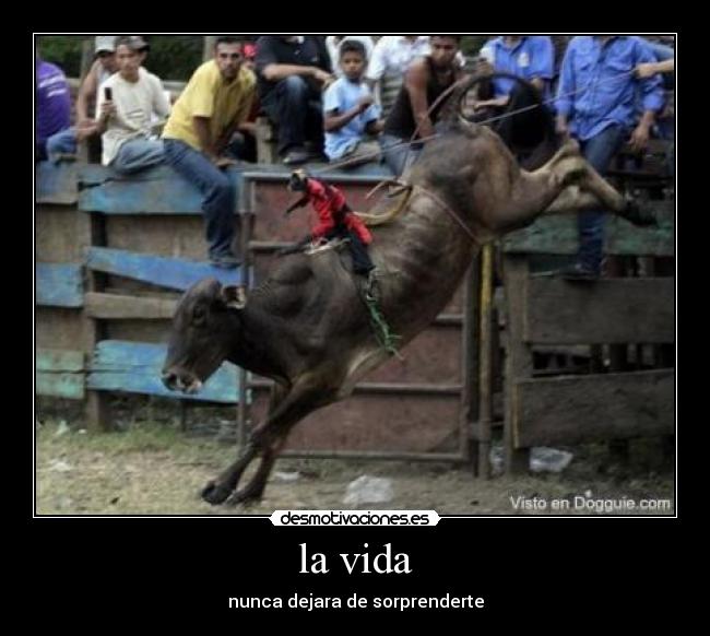 la vida - 