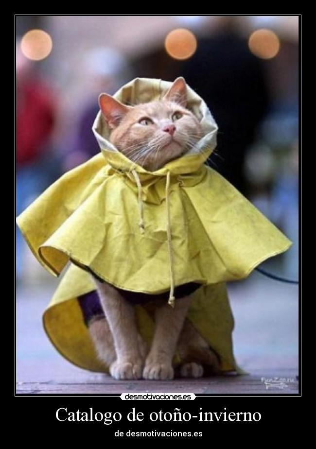 Catalogo de otoño-invierno - de desmotivaciones.es