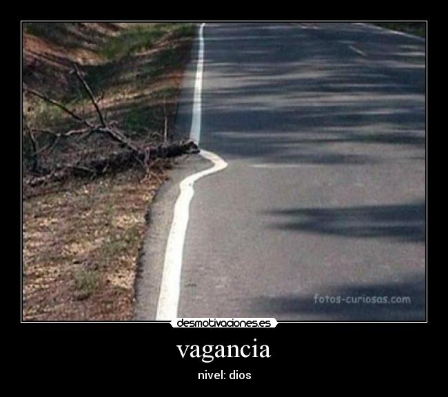 vagancia - 