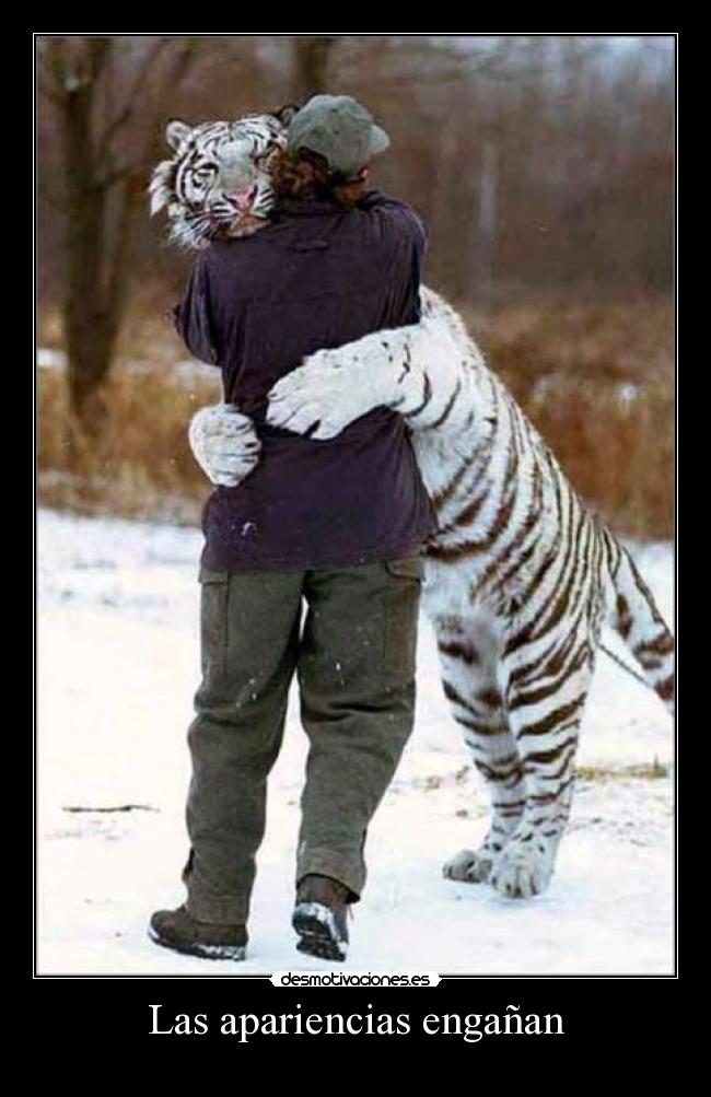Las apariencias engañan -