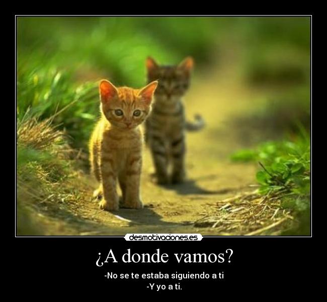 ¿A donde vamos? - 