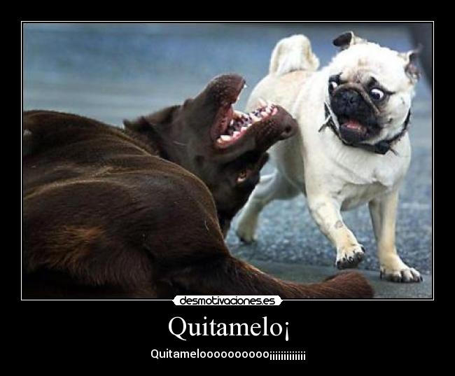 Quitamelo¡ - 