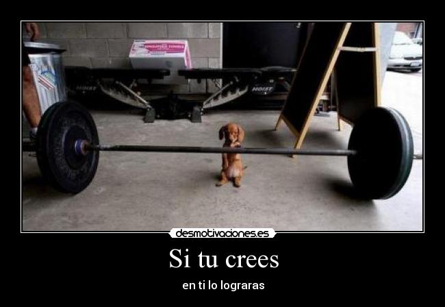 Si tu crees -