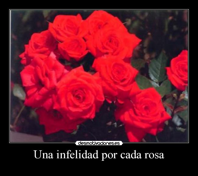 Una infelidad por cada rosa - 