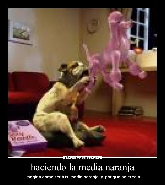 carteles por amor desmotivaciones