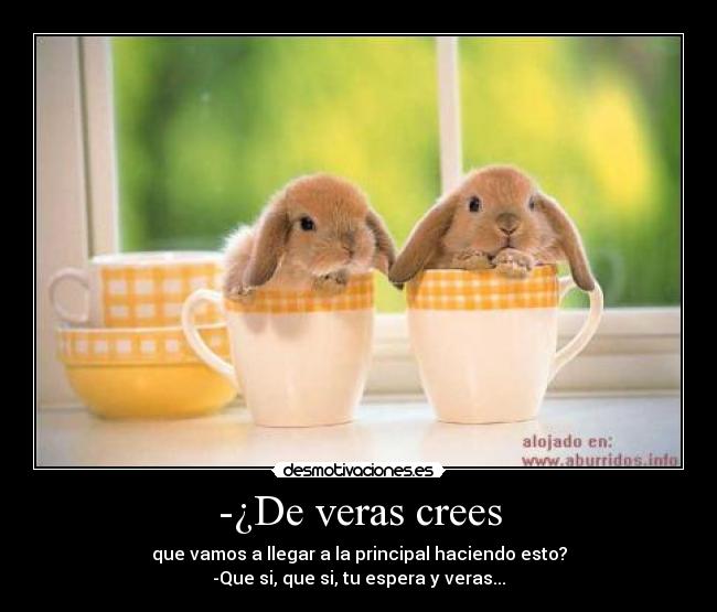 -¿De veras crees -