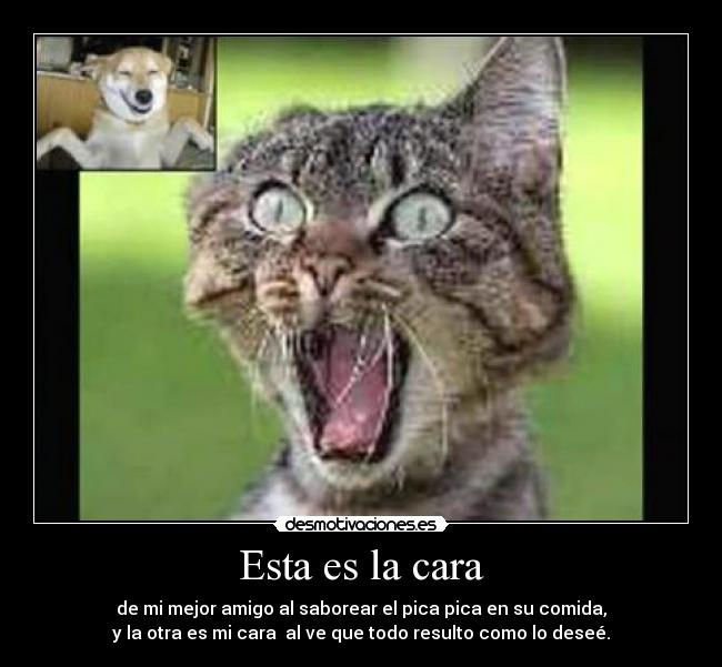 Esta es la cara - de mi mejor amigo al saborear el pica pica en su comida,
y la otra es mi cara al ve que todo resulto como lo deseé.