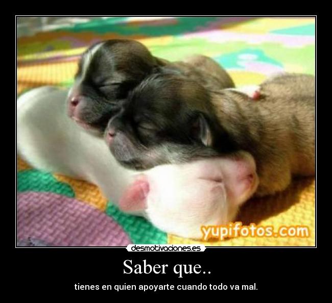 Saber que.. - 