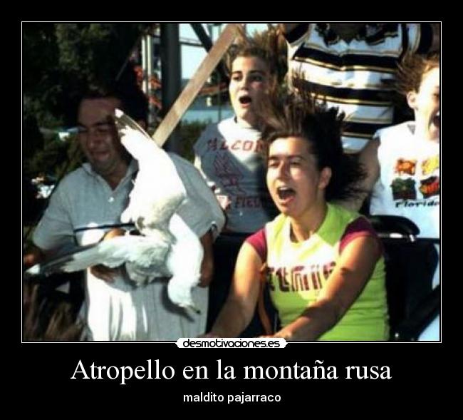 Atropello en la montaña rusa - maldito pajarraco