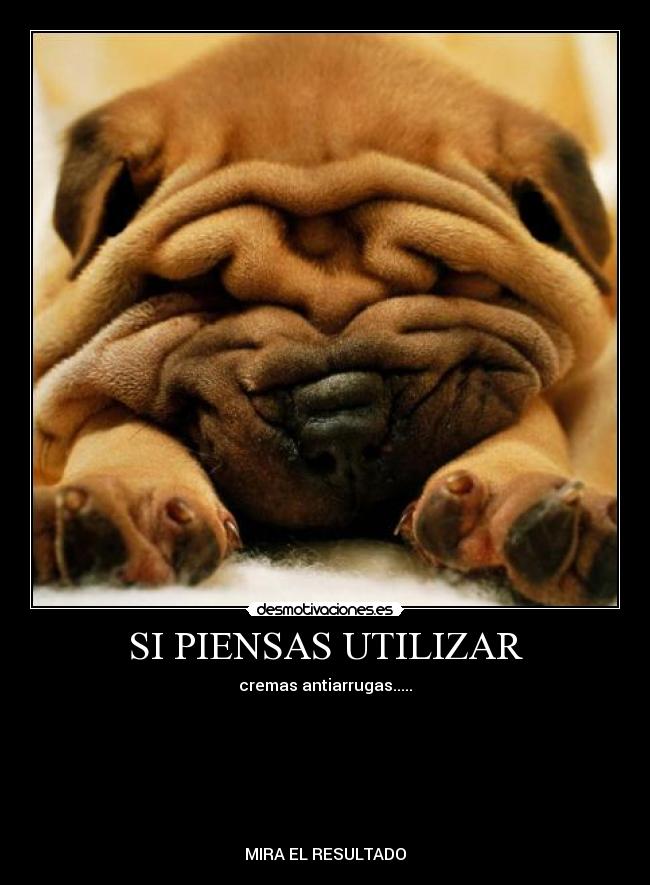 carteles piensas desmotivaciones