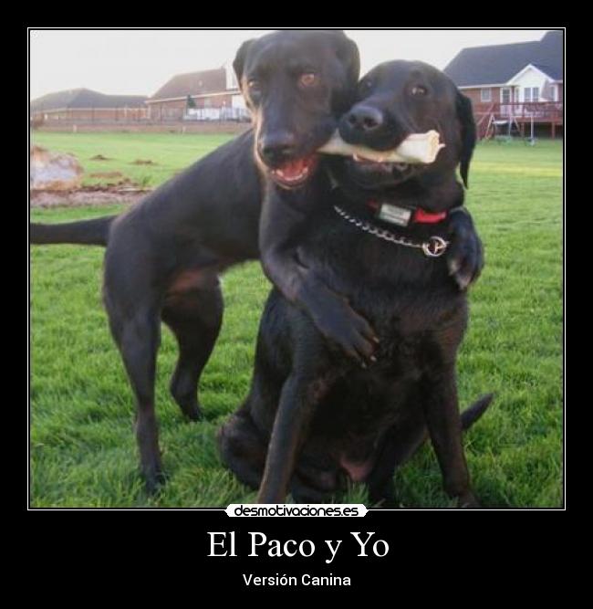 El Paco y Yo - Versión Canina