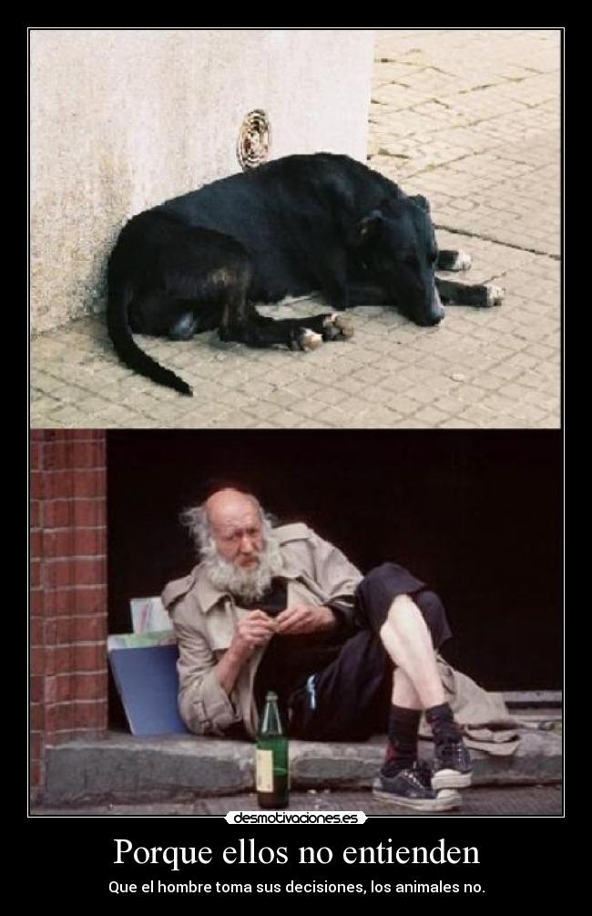 carteles injusticias animales desmotivaciones