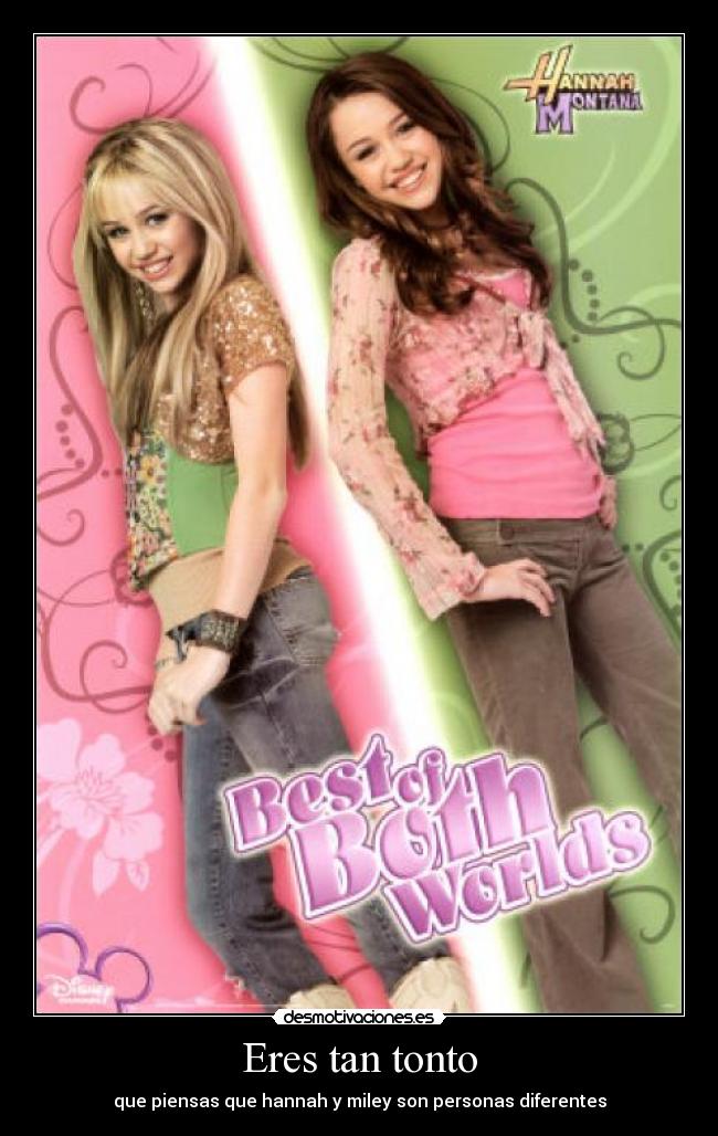 Eres tan tonto - que piensas que hannah y miley son personas diferentes