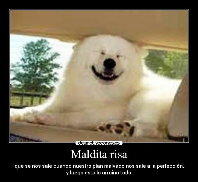 carteles risa perro lindo sonriente maldita risa plan malvado desmotivaciones