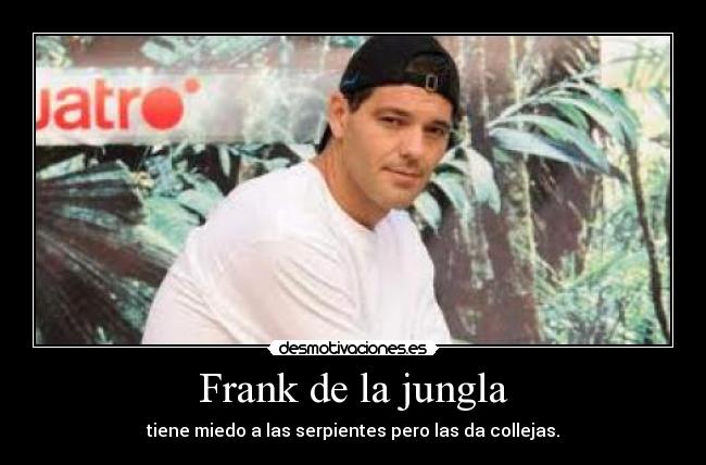 Frank de la jungla - 