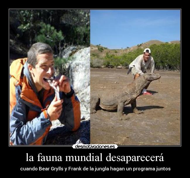 la fauna mundial desaparecerá - cuando Bear Grylls y Frank de la jungla hagan un programa juntos