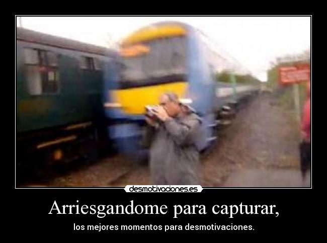 Arriesgandome para capturar, - los mejores momentos para desmotivaciones.