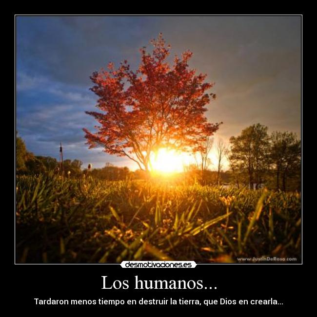 Los humanos... - Tardaron menos tiempo en destruir la tierra, que Dios en crearla...