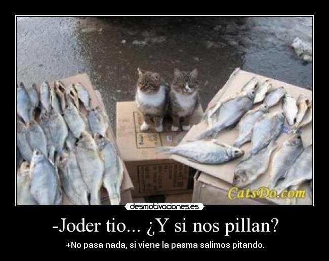-Joder tio... ¿Y si nos pillan? - +No pasa nada, si viene la pasma salimos pitando.