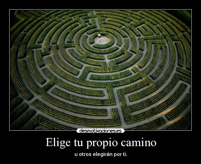 Elige tu propio camino -