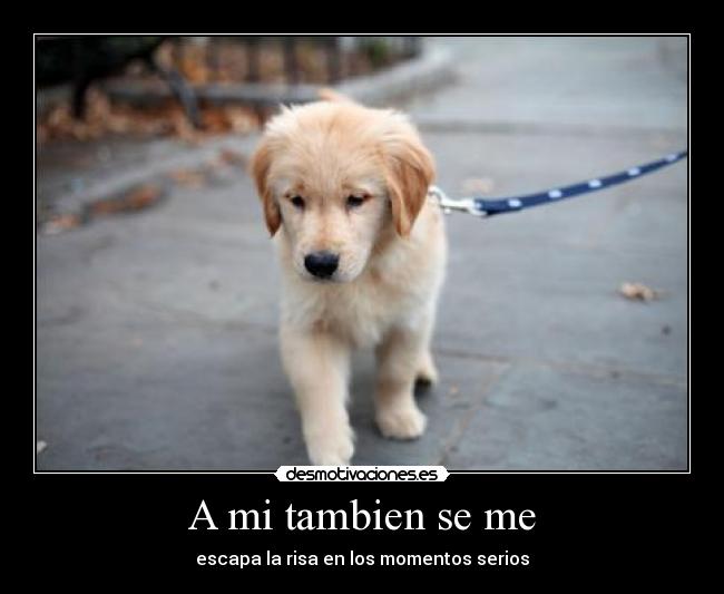 A mi tambien se me -