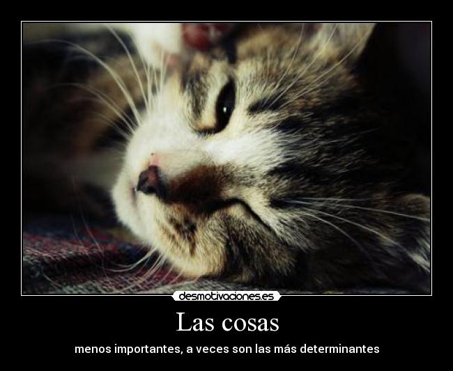 Las cosas - menos importantes, a veces son las más determinantes