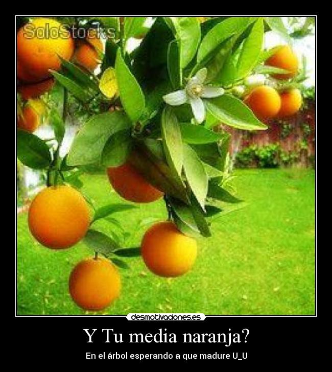 carteles danielammendezx desmotivaciones