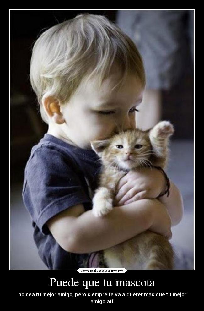 Puede que tu mascota -