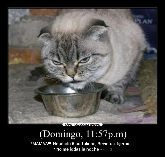 (Domingo, 11:57p.m) -