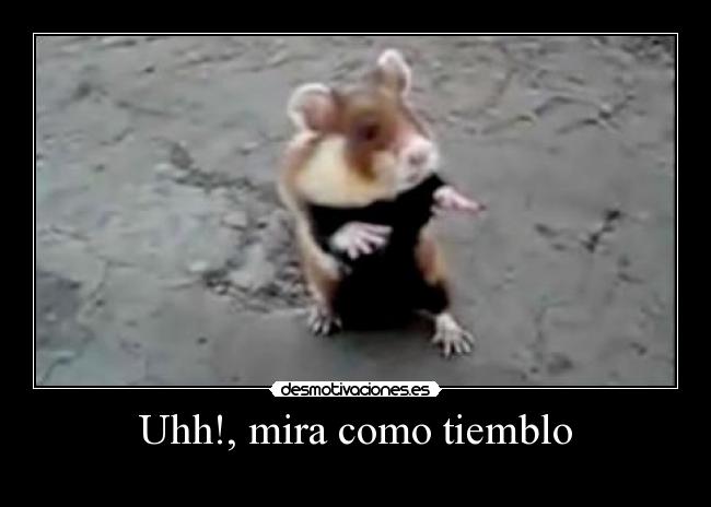 Uhh!, mira como tiemblo -