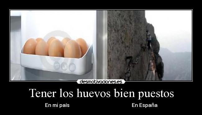 Tener los huevos bien puestos - 