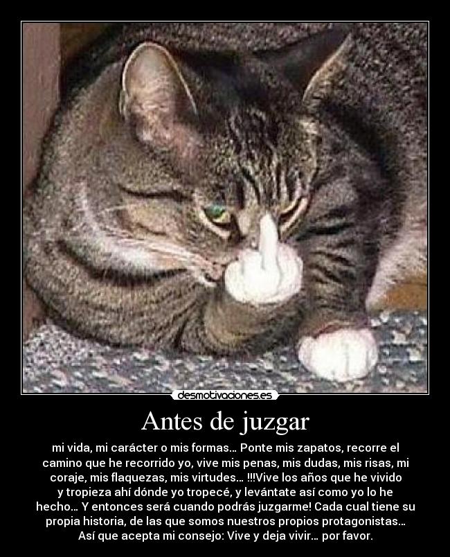 Antes de juzgar - mi vida, mi carácter o mis formas… Ponte mis zapatos, recorre el
camino que he recorrido yo, vive mis penas, mis dudas, mis risas, mi
coraje, mis flaquezas, mis virtudes… !!!Vive los años que he vivido
y tropieza ahí dónde yo tropecé, y levántate así como yo lo he
hecho… Y entonces será cuando podrás juzgarme! Cada cual tiene su
propia historia, de las que somos nuestros propios protagonistas…
Así que acepta mi consejo: Vive y deja vivir… por favor.