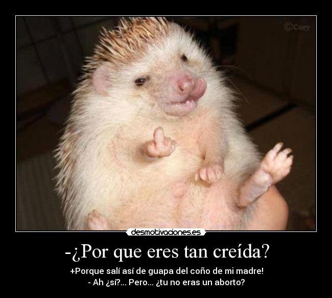 -¿Por que eres tan creída? -