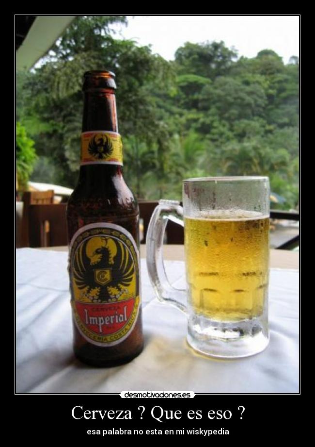Cerveza ? Que es eso ? - esa palabra no esta en mi wiskypedia