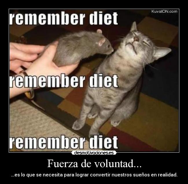 Fuerza de voluntad... - ...es lo que se necesita para lograr convertir nuestros sueños en realidad.