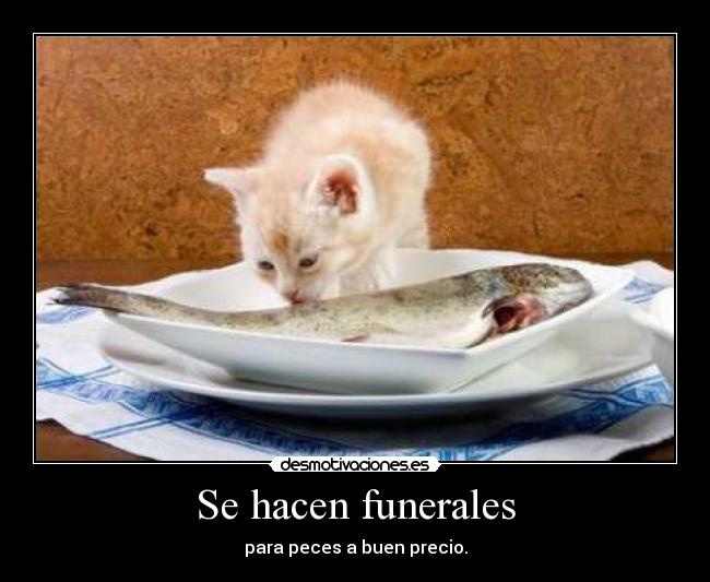 Se hacen funerales - para peces a buen precio.